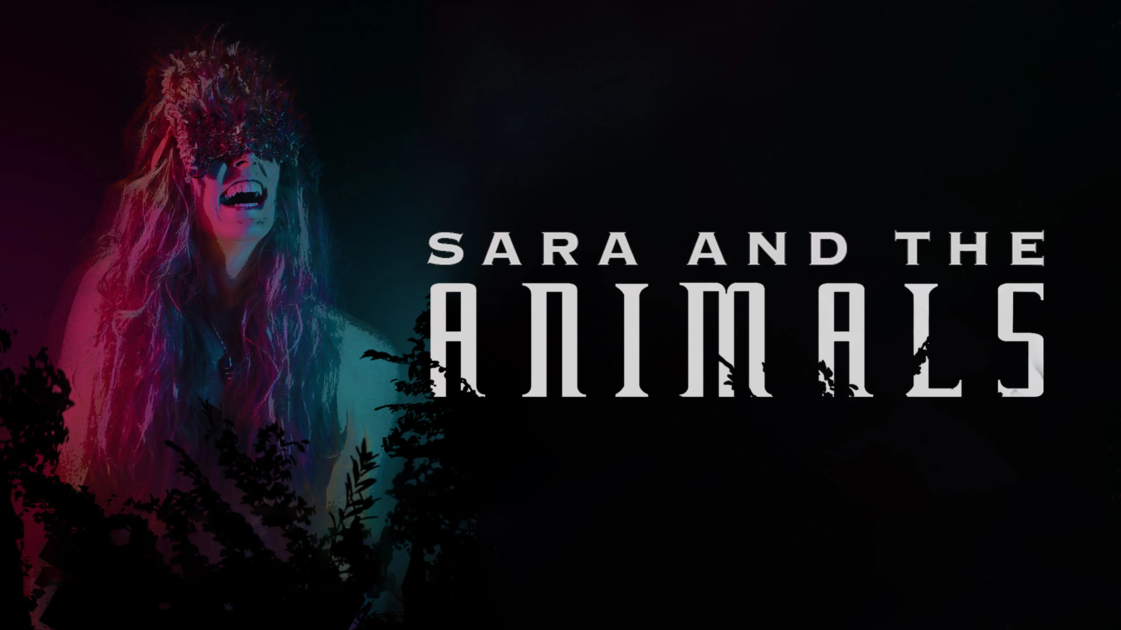 Sara and the Animals poster